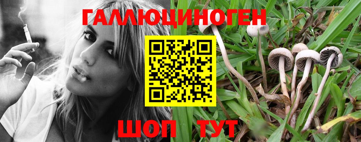 Псилоцибиновые грибы GOLDEN TEACHER  Вход с VPN  купить наркотик  Нижний Тагил 